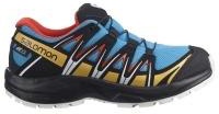 412856 Salomon