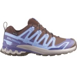 salomon_xa_pro_491994